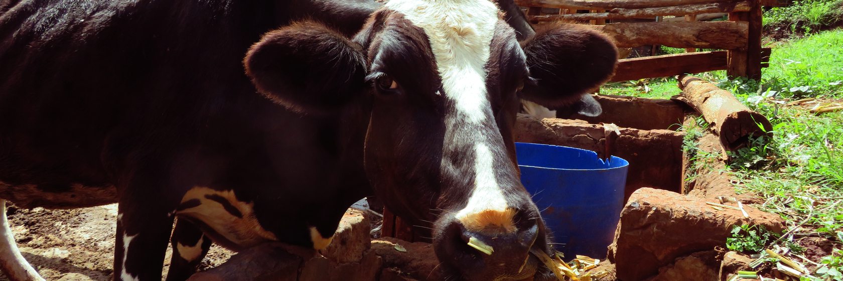 funding gap emerging markets