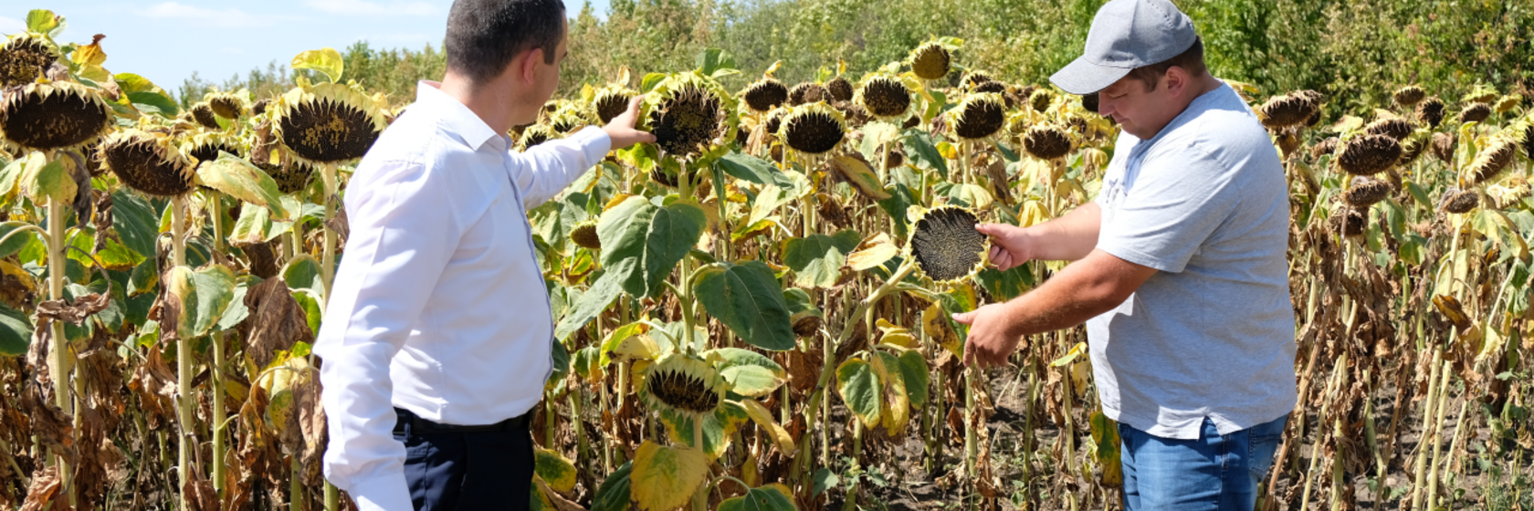 funding gap emerging markets