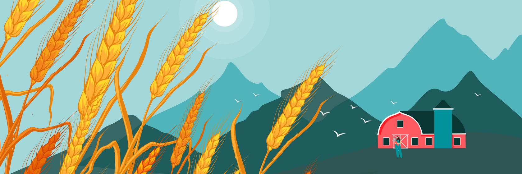 funding gap emerging markets