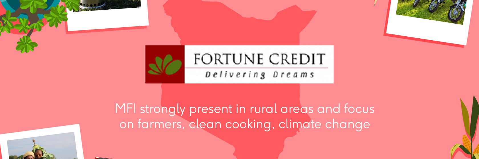 funding gap emerging markets