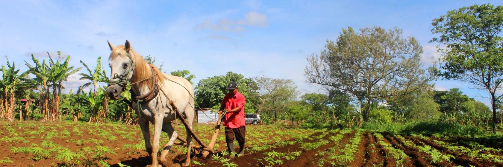 funding gap emerging markets