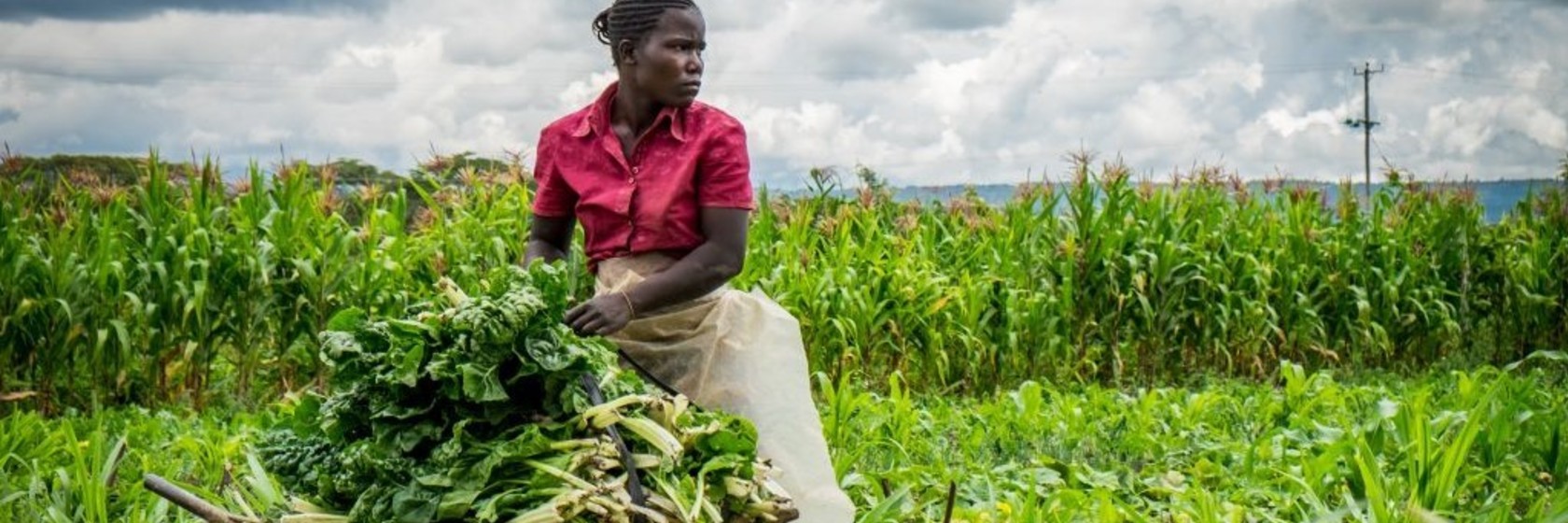 funding gap emerging markets