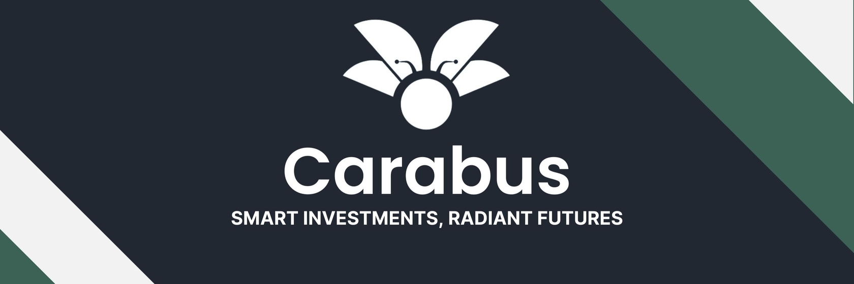 funding gap emerging markets