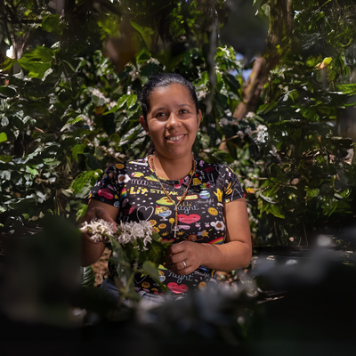 funding gap emerging markets