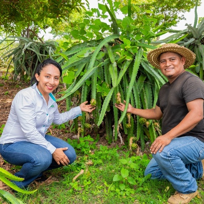 funding gap emerging markets