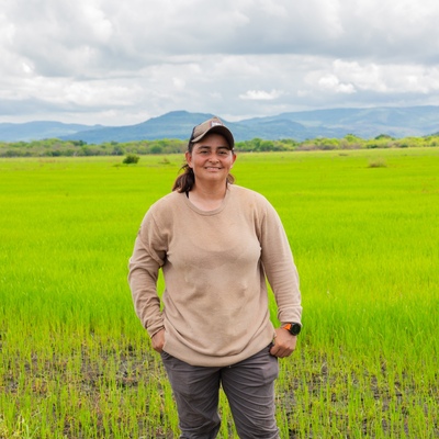 funding gap emerging markets