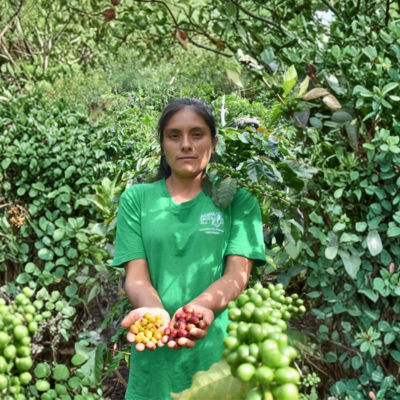 funding gap emerging markets