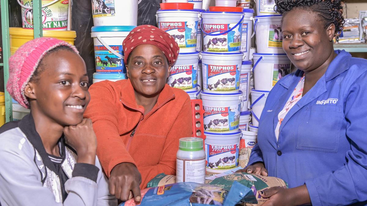 Apollo Agriculture 4