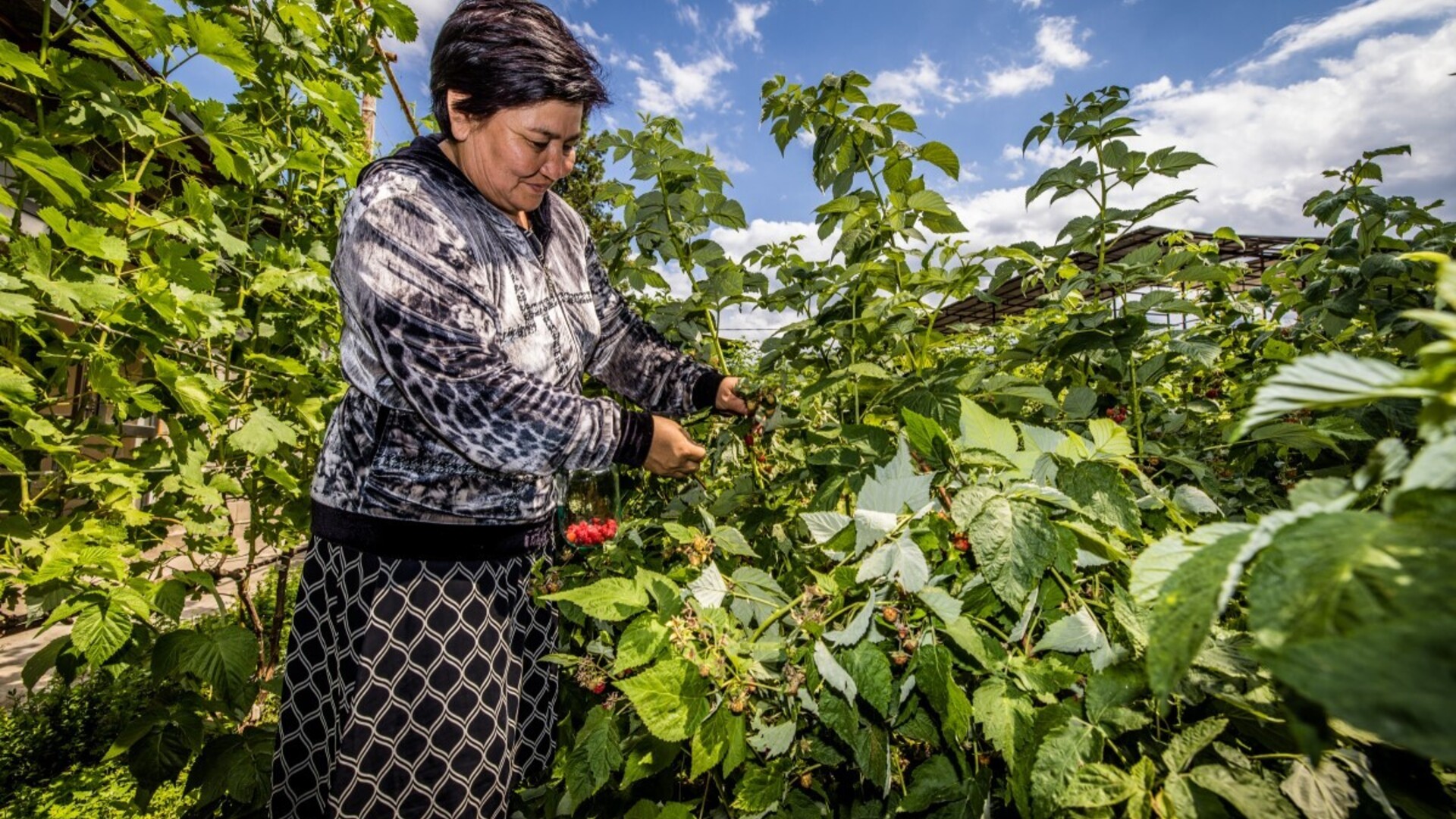 funding gap emerging markets