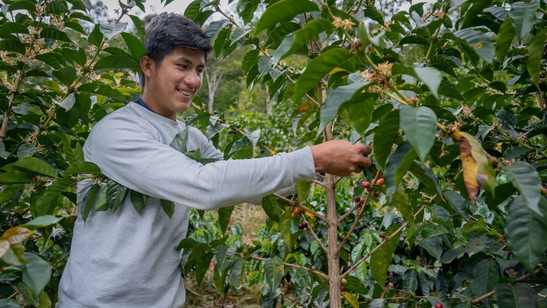 funding gap emerging markets